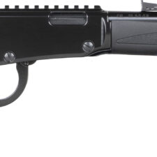 HEN X MODEL LVR 22LR