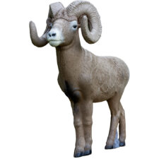 Home 29 Rinehart 1/2 Scale Signature Bighorn Sheep Target