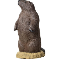 Home 25 Rinehart Groundhog Target