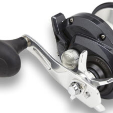SHIMANO TORIUM SW 6.2 4BB CAST